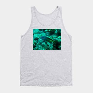 Freckled hawkfish Tank Top